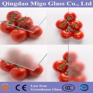 Diffuse Glass for Greenhouse