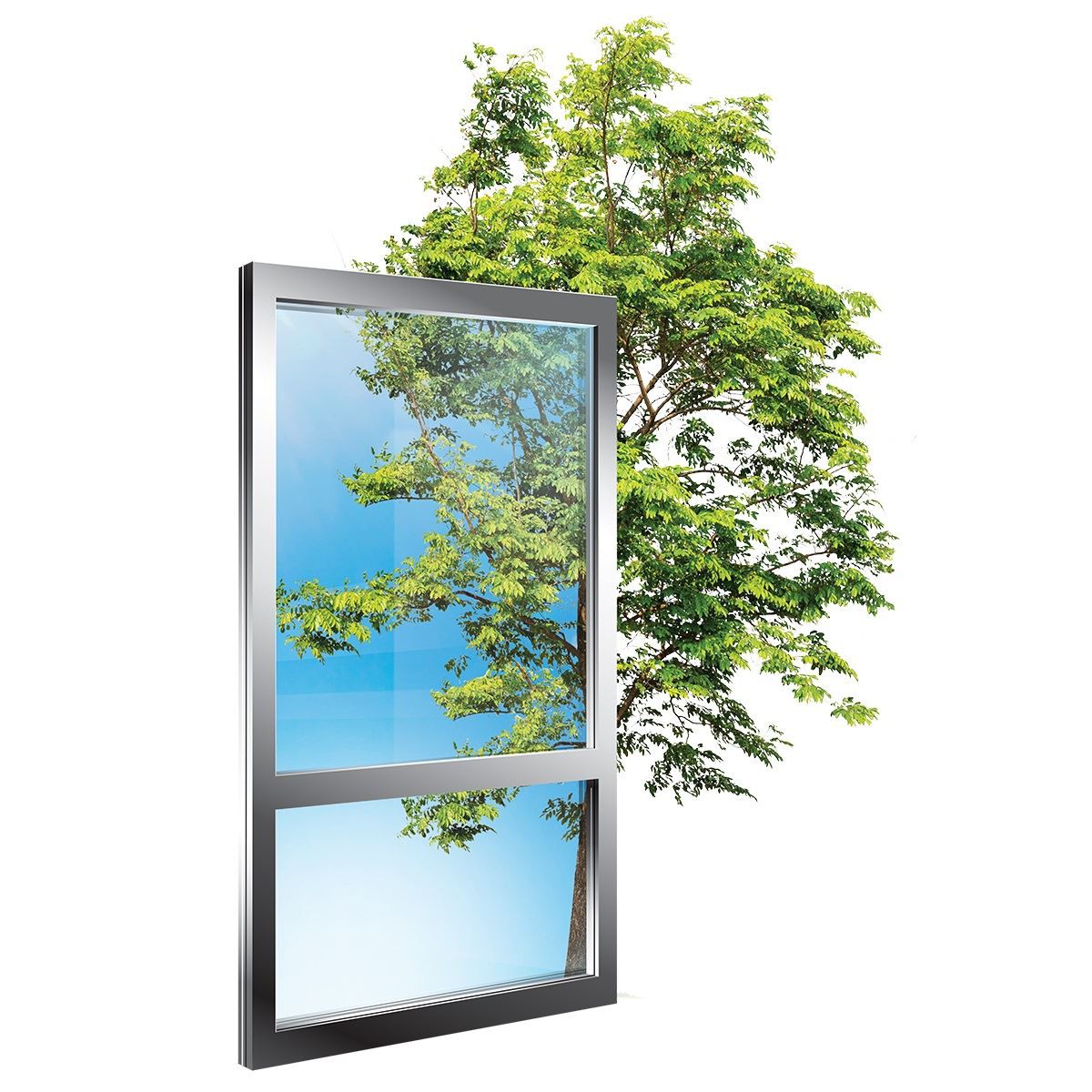 homepage_glass_1200x1200 homepage_glass_1200x1200