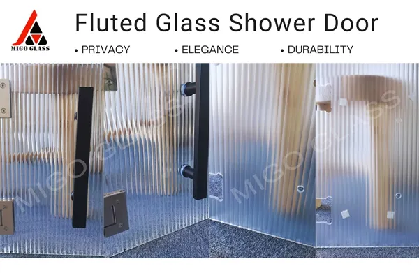 449474663_797416242553938_3403588734663266738_n_