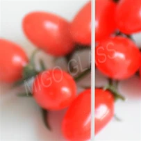 4mm Low-iron Greenhouse Glass