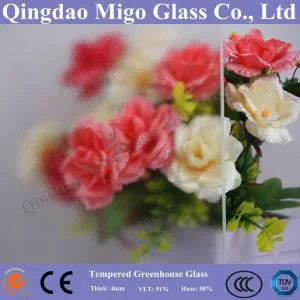 4mm Tempered Matt/Matt Texture Solar Glass with SGS Certification