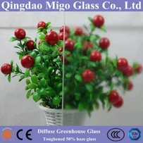 Diffused Greenhouse Glass With 50% Haze
