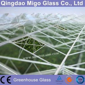 4mm Tempered Greenhouse Glass