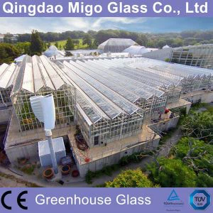 4mm Tempered Glass For Commercial Greenhouse