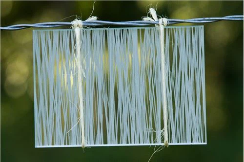 Silk Screen Printing Decorative Glass